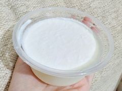 顺德双皮奶-老周记顺德双皮奶