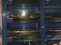 -永安鱼庄·镇江菜(三店纬五路店)