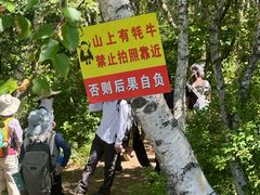 -灵山