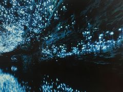 -怀托摩萤火虫洞