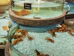 -西贝海鲜汇(槐安路店)