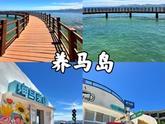 -养马岛旅游度假区