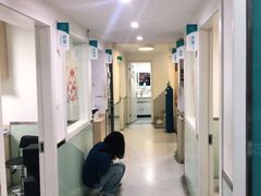 -乐派堂宠物医院·猫友好· 心脏科(东街店)