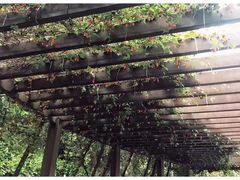 -北湖公园