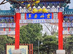 -云岗森林公园