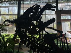 -诸城市恐龙博物馆