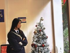 -DEMO黛慕蛋糕(三街两巷店)