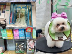 -总动员动物医院(宝丰院店)