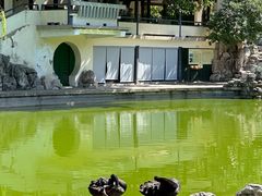 -舜耕山庄四时万和自助餐厅