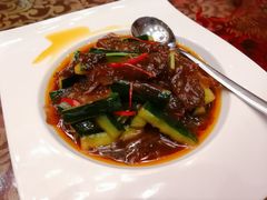 海蜇头-汕头龙光喜来登酒店-采悦轩中餐厅