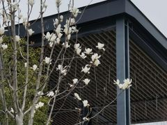 -青果巷历史文化街区