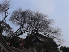 -宝通禅寺