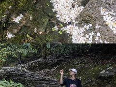 -雁荡山三折瀑景区