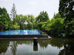 -杭州西子湖四季酒店-WL BISTRO西湖餐厅(灵隐路店)