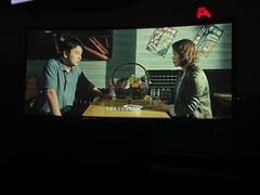 -枫花园汽车电影院(朝阳公园店)