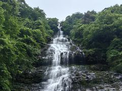 -瓦屋山景区