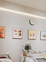 -洗脸猫·洗脸吧