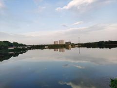 -大兴滨河森林公园