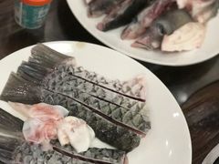 -正能量脆肉鲩火锅