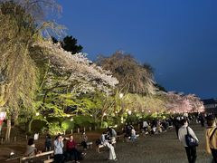 -名古屋城
