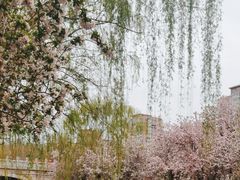 -海棠花溪(元大都城垣遗址公园)