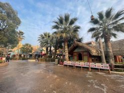 -翱翔飞越地平线