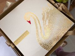 -BLACKSWAN黑天鹅(环球店)