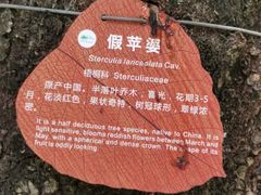-惠州西湖风景名胜区-丰渚园