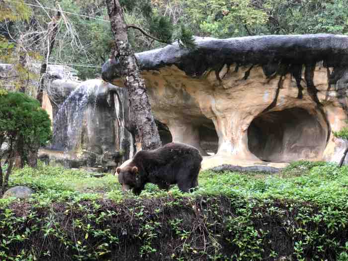 台北市动物园-"相比深圳的动物园,台北市立动物园的门票真.