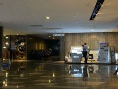 -武商摩尔影城(国广IMAX激光店)