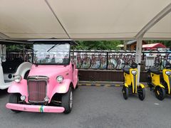 -东平国家森林公园