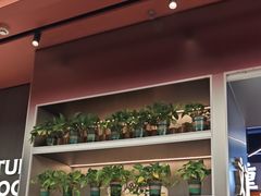 -文通冰室(东方宝泰店)