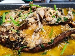 -美蛙四季(亦庄店)