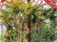 -南宫五洲植物乐园