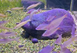 -酷嗒动物文化乐园(cutezoo西溪乐天城店)