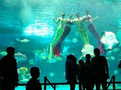 android_upload_pic-泉城欧乐堡海洋极地世界