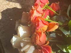 -循礼门鲜花花市(武汉循礼门店)