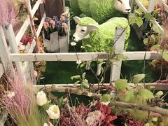 -富田农场