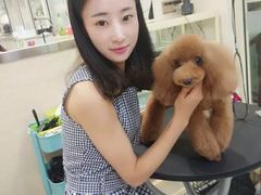 -多卡布奇宠物生活馆(上林世家店)