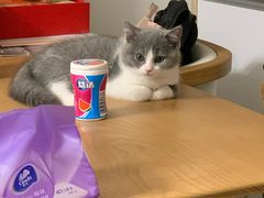 -袖虎·猫馆(体育西路店)