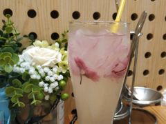 -青瓷火锅料理(西单大悦城店)