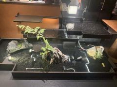 -小厨师·二十年沈家门小海鲜(百井坊巷店)