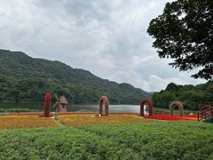 -广州市石门国家森林公园