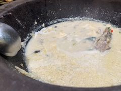 -鲜潭蒸汽石锅鱼(五道口购物中心店)