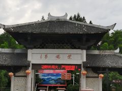 -紫鹊界梯田景区