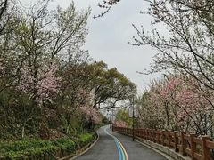 -杭州半山国家森林公园