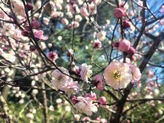 -北京鹫峰国家森林公园