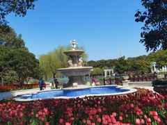 -上海鲜花港