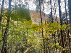 -藏龙百瀑风景区