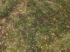 -白塘生态植物园